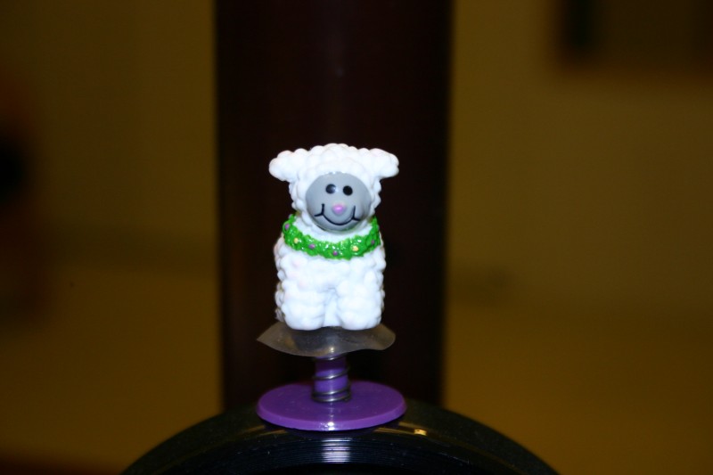 IMG_0004 [800x600].JPG